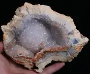 1291g!!! WOW! Agate Geode! NATURAL CARNELIAN CRYSTAL QUARTZ Geode Agate #124