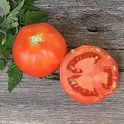 Tomato RED Russian 15+ Heirloom Seeds Vegetable Garden Cool Climate red Round