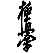 CK2015# Kyokushin Karate Dojo Funny Car Sticker Vinyl Decal Car Auto Stickers For Car Bumper Window black Height 15cm