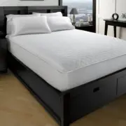 Ella Jayne Home Allergy and Dust Mite Free Mattress Protector - White - Twin