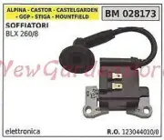 Coil Ignition Ggp for Rider Blowers Blx 260/8 028173