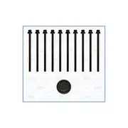 Austral Cylinder Head Bolt Set - 81034300