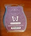 Scentsy Bar Black Raspberry Vanilla Scent