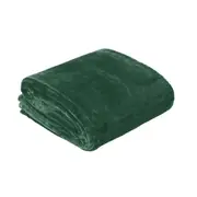 In 2 Linen 350GSM Plush Ultra Soft Velvet Touch Blanket Forest