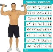 Vive Dumbbell Exercise Poster - Home Gym Workout for Upper, Lower, Full Body - Laminated Bodyweight Chart for Back, Arm, Core and Legs - Free Weight Building Guide For Men, Women, Elderly (30" x 17")