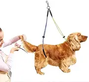 ZenithAur Dog Grooming Loop No Sit Haunch Holder Adjustable Pet Grooming Leash Double Noose Ropes Grooming Restraint for Dogs Cats (Yellow Blue)