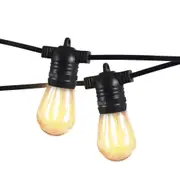 Emitto LED Festoon String Light Christmas 10-60M Garden Party Pitaya Grow Light