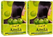 2 Boxes x 100g (Total 200g) Hesh Herbal Amla Powder Pack Indian Goosebury