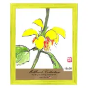 Country Chic 1.5" Wood Frame, 2mm glass and backing 16x20"-Southern Yellow-2 Pk
