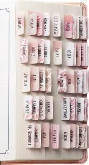 Laminated Bible Tabs, Large Print, 66 Tabs for Old and New Testament, Rose Theme