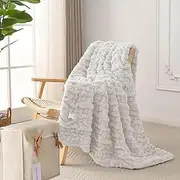 RHEIN HOME Heated Blanket Electric Throw - 150×130cm Electric Blanket with 10 Heating Levels & 10 Hours Auto-Off Overheat Protection, Soft Silky Plush Throw Rug Machine Washable (White)