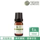 【康茵CAREIN】茶樹精油 10ml 1入(單方純精油系列)