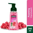 Palmolive Hydrating Foaming Raspberry Hand Wash Removes 99.9% Germs - 250ml