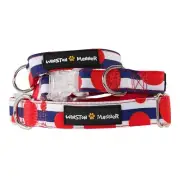 Winston Manner Dog Collar in Bouncy Ball