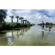 Save 5.01%! Wildlife Refuge Sunset Dolphin, Manatee & Mangrove Kayak or Paddleboarding Tour!