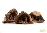 Nativity Scene in Manger carved inside of a Solid Olive wood Branch