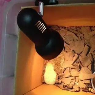 鸚鵡寶寶幼鳥加熱燈調溫保溫箱保暖燈取暖器寵物加熱保溫夾子燈罩