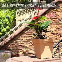 在飛比找momo購物網優惠-【Gardeners】陶土風格方型花盆24.5cm附底盤(鄉
