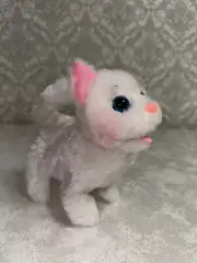meowing cat