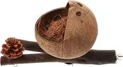 YARNOW Natural Wood Bird Perch Stand Versatile Nest for Pet Birds Easy Installation Durable Design for Parrots Cockatiels Finches and More