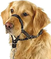 Barkless Dog Head Collar, No Pull Training Tool for Dogs on Walks, Includes Free Training Guide, 5 (XXL, Black)
