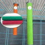 Colorful Pet Bird Cage Perches Stand Platform Chew Toy 4 Sizes for Parrot Bites