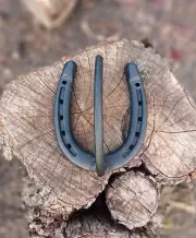 Custom Welded Rustic Horseshoe Hook, Tack Hook, Horseshoe Hanger, Western Cowboy