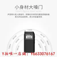 在飛比找Yahoo!奇摩拍賣優惠-收音機熊貓6203老人收音機小型迷你充電插卡半導體fm調頻廣