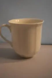 Villeroy & Boch Manoir Porcelain Mug – New – Retail $18