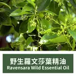 【馥靖精油】野生羅文莎葉精油 RAVENSARA WILD ESSENTIAL OIL