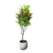 125cm Faux Artificial Potted Codiaeum Variegatum/Croton Plant Home Office Decor
