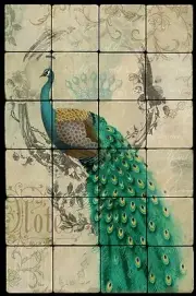 Peacock Still Life Stone Tumbled Marble Tile Wall Mural Backsplash 16x24