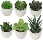 Artificial Succulent Plants Set of 6，Artificial Potted Plants Fake，Realistic