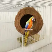 Natural Coconut Shell Bird Nest Bird Cage Hut Hide-Out for Parrots Small Animals