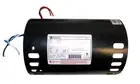 Stator Assembly Replacement Only for Jandy 0-193994-06 Pool Pump