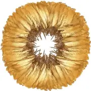 120pcs Gold Goose Feathers 6-8 Inch 15-20cm Decorative Natural Goose Nagoire ...