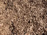 Pecan Hickory Smoking Wood Chips 4kg Mumballup Pecans