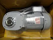 GTR BROTHER GEAR MOTOR FS30N060-BMK4AX 1/4 HP