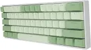 USB Wired Gaming Keyboard, 60% 61 Keys Mechanical Keyboard, Compact Hot Swappable Keyboard with Red Switch, Dynamic RGB Backlighting, Ergonomic Design, Green