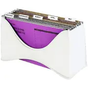 J.Burrows Desktop Filer with 5 Assorted Foolscap Files