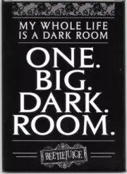 BEETLEJUICE ONE BIG DARK ROOM ATA-BOY MAGNET 2.5” X 3.5” NEW