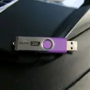 Purple Dolphin USB Flip Flash Drive Memory Stick Thumb 32Gb Win Formatted