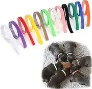 12Pack Puppy Whelping Collars Multicolor Newborn Soft Fabric Adjustable Puppy ID Collars Reusable Pet Identification Bands Double-Sided Adjustable ID Bands for Newborn Pet Dog Cat Kitten 13.7Inch