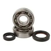 Fits 2012 Polaris Ranger RZR XP 4 900 Main Bearing and Seal Kit 0940101