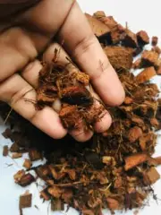 Coconut Husk Chips Floriculture Plants Orchid Anthurium Natural Growing Media