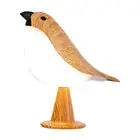 Small Bird Desk Lamp,Rechargeable Cordless Table Lamp with 3 Color1388