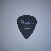 The DAVE MATTHEWS BAND 2010 Signature Concert Tour Dave's DMB GUITAR PICK #2