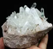 2.16lb NATURAL Green Ghost pyramid Quartz Crystal Cluster Point Mineral Specime