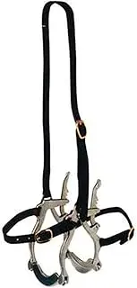 Bainbridge Equine Horse Pony Dental Speculum Mouth Gag