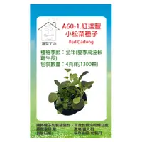 在飛比找PChome24h購物優惠-A60-1.紅達豐小松菜種子-寶貝菜.貝比生菜